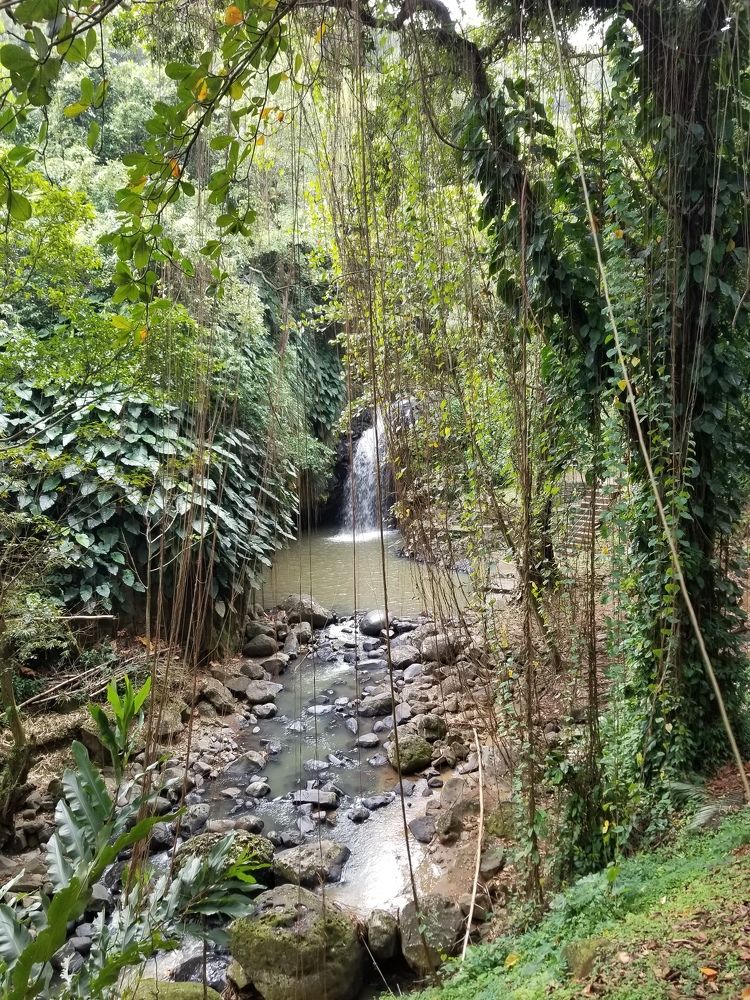 Waterfall in Grenada