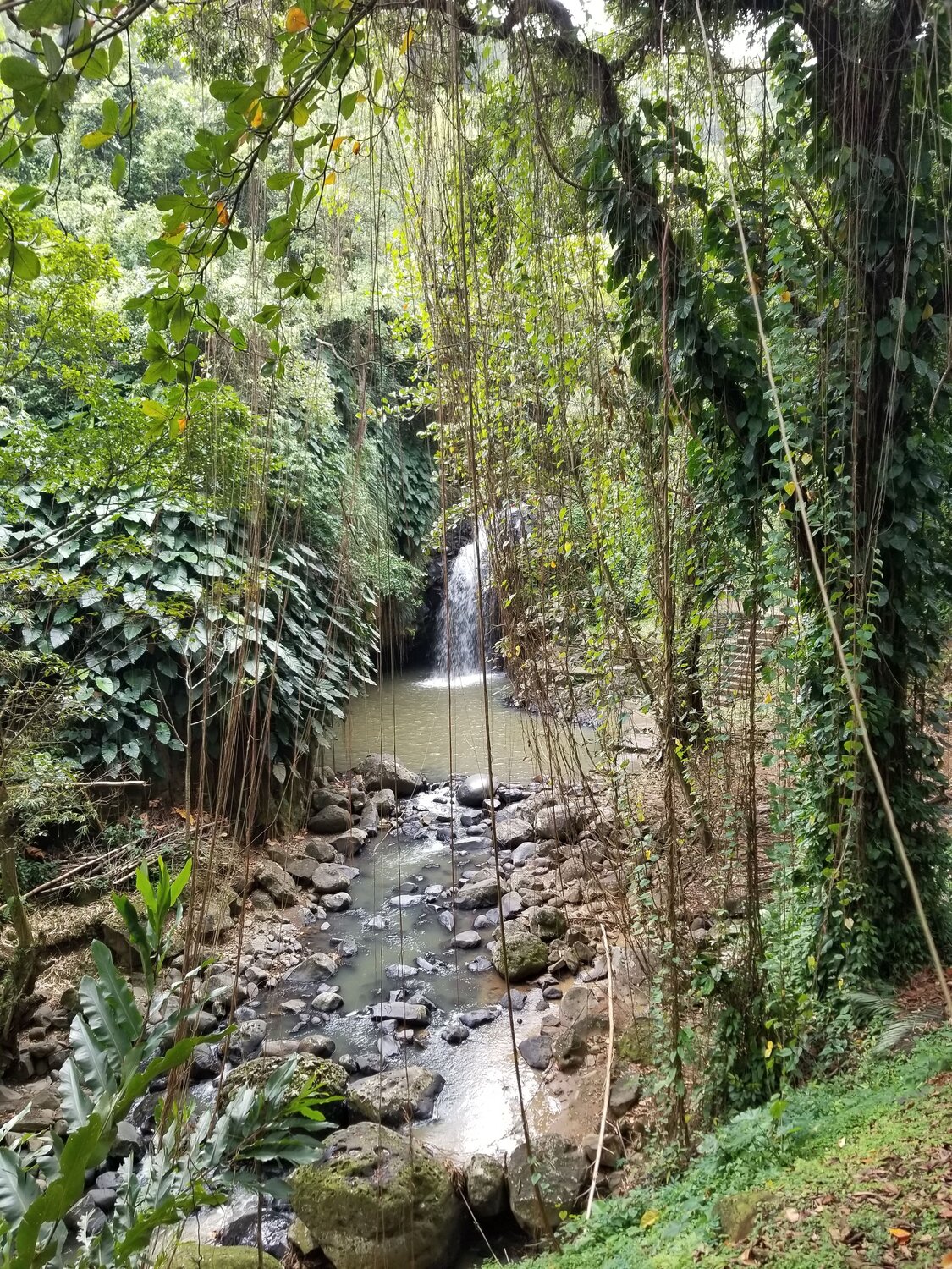 Waterfall in Grenada