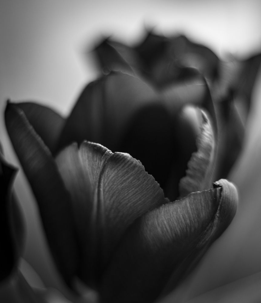 Black soul in daylight