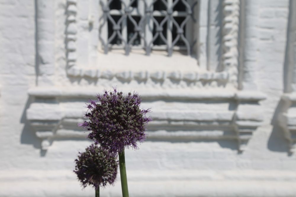 Photograph by Владимир Спиридонов