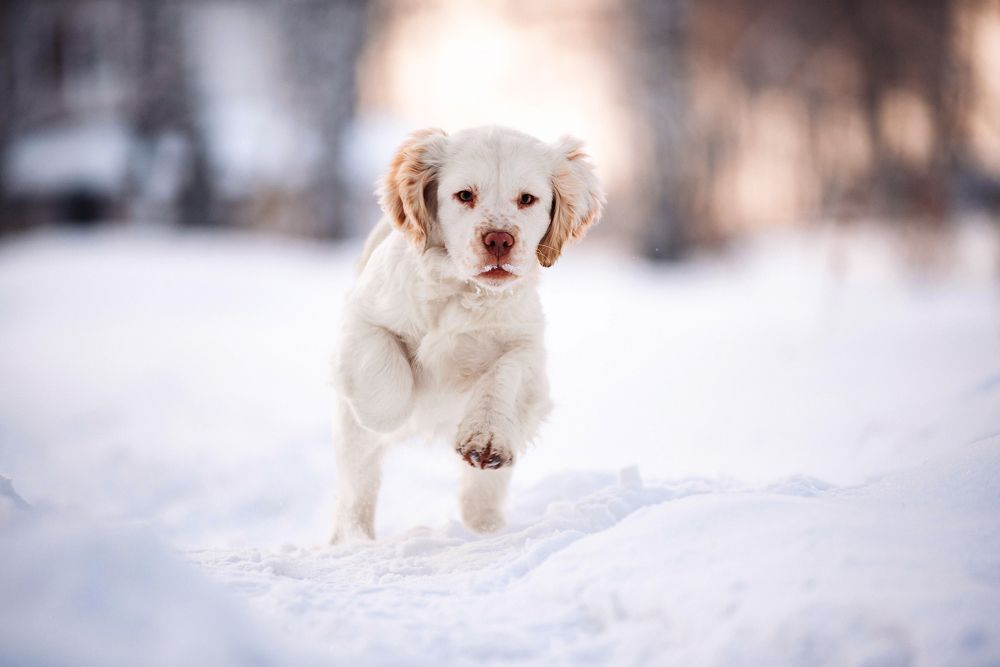 Photograph by Измайлова Ксения