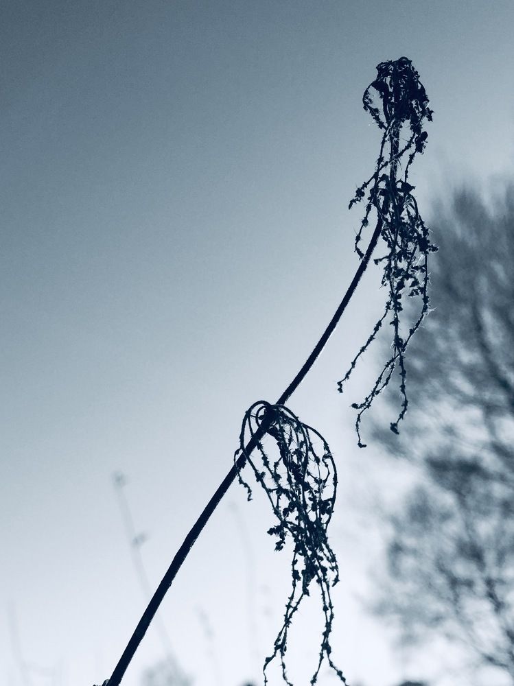 Photograph by Татьяна Шибанова