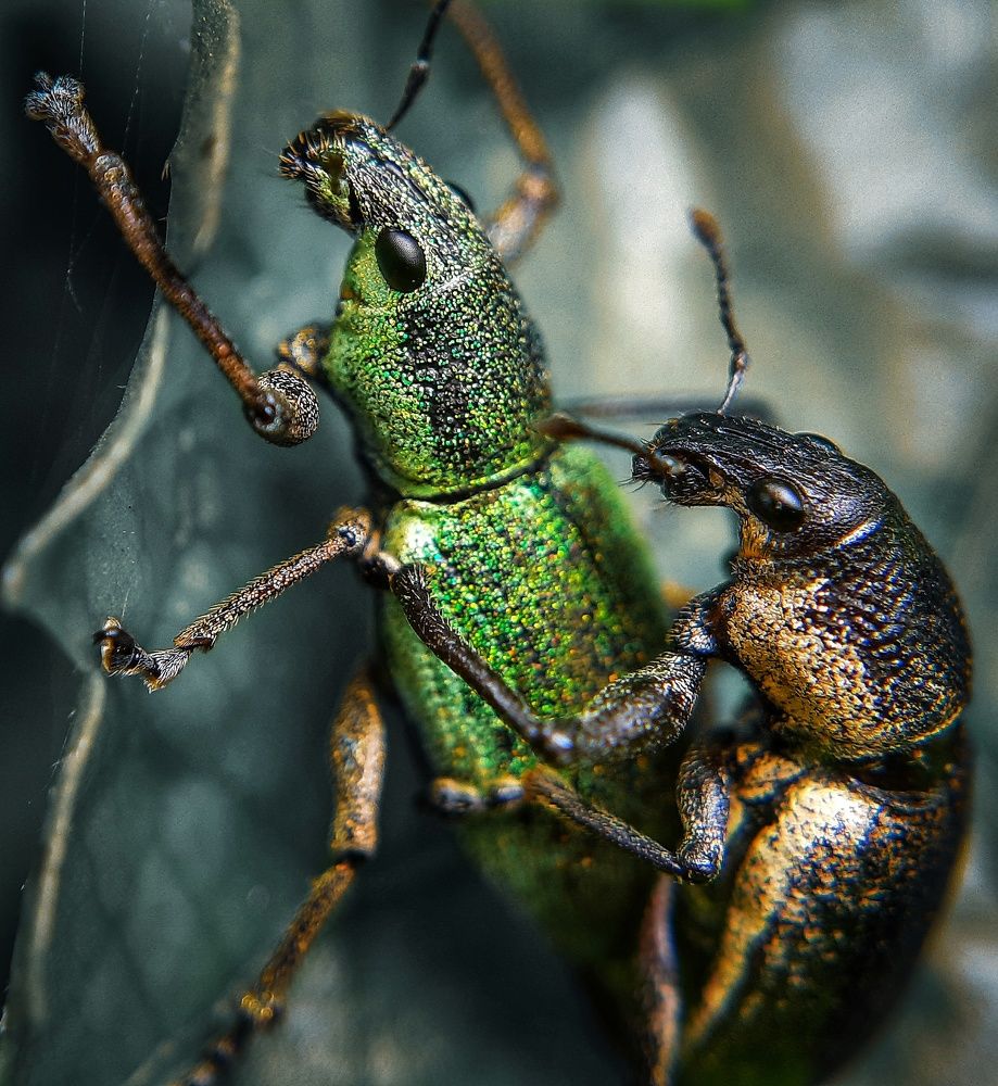 Photograph by Dibyajit Seth