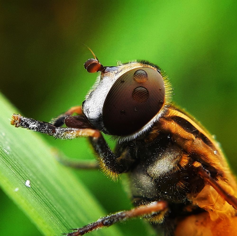 Photograph by Dibyajit Seth