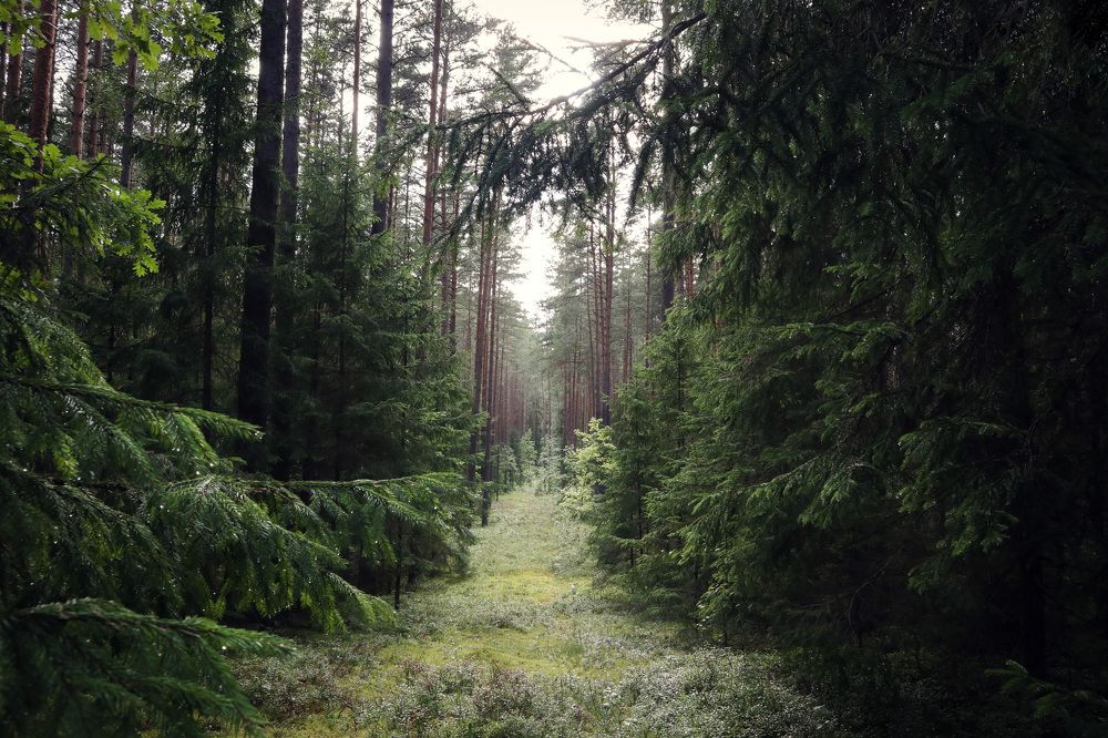 Photograph by Марина Багрецова