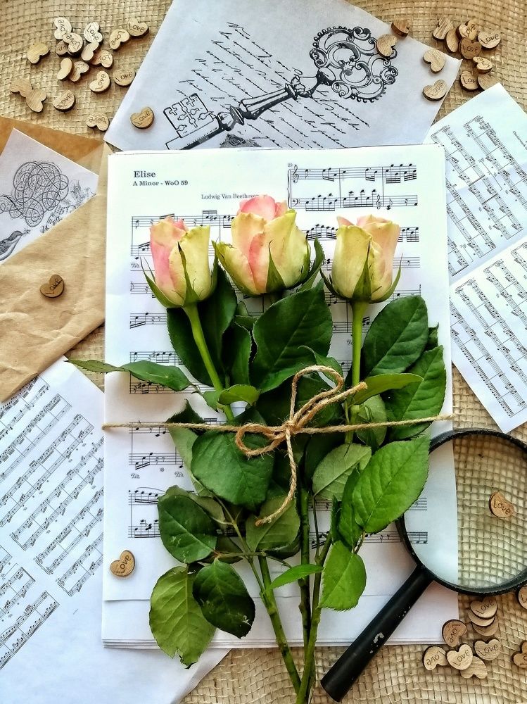 Фотография автора Fotolove Tasha