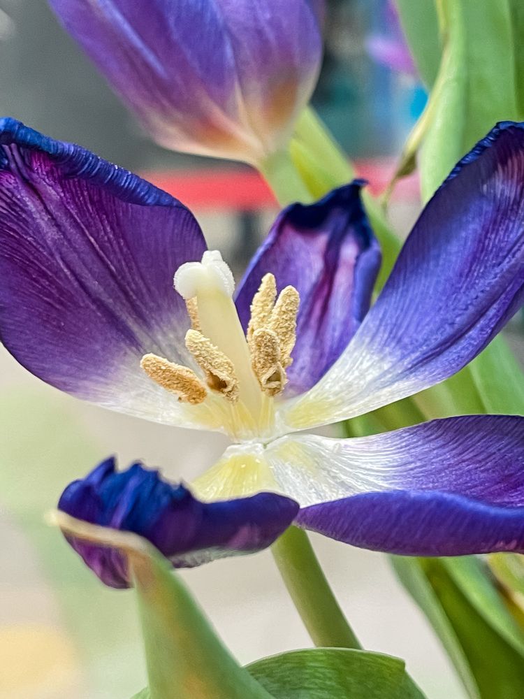 Photograph by Алла Давыдова