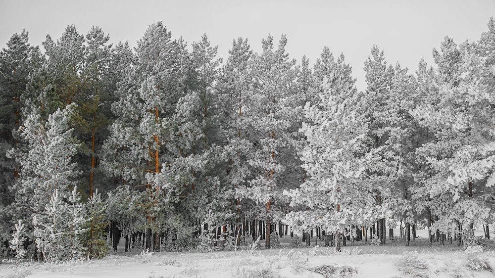 Photograph by Олег Белан