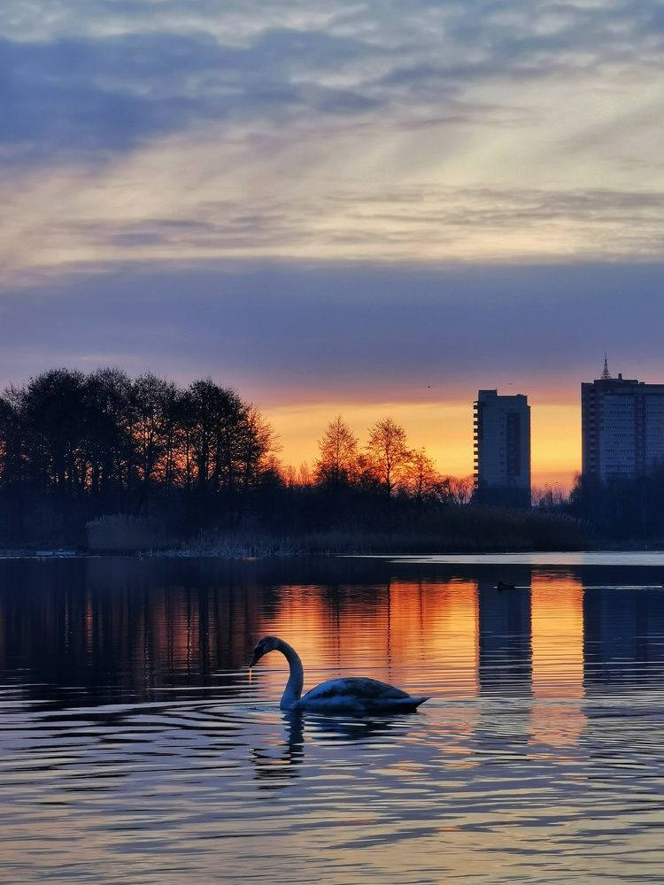 Photograph by Андрей Тур