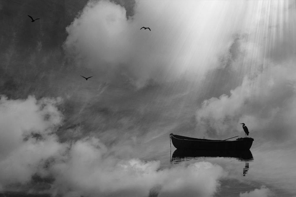 Photograph by Владимир Гамаюнов