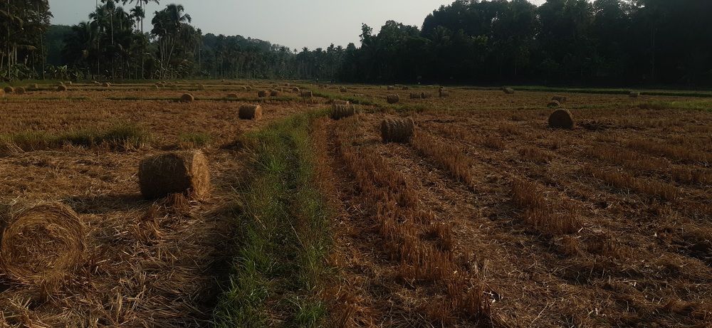 Photograph by ROHITH NR