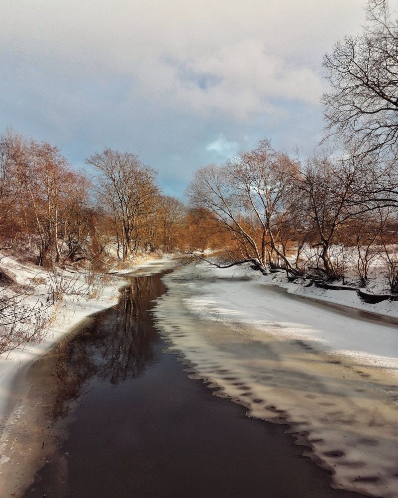 Photo #7436205