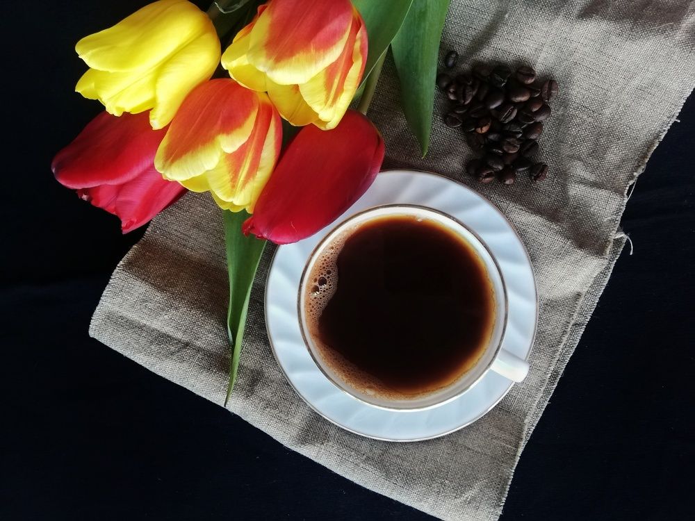 Photograph by Татьяна Смирнова