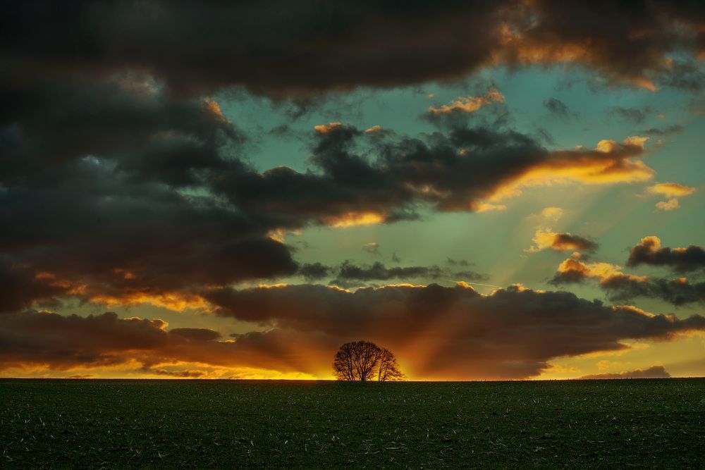 Photograph by 