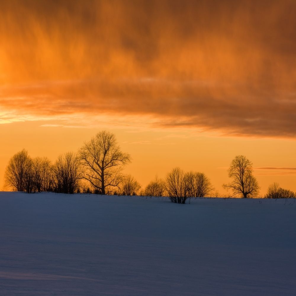 Photograph by Михаил Устюжанин
