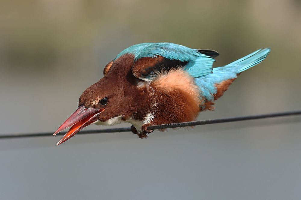 Photograph by pavel chtein