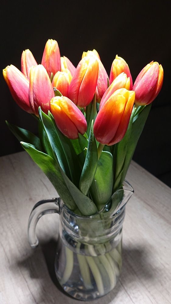 Фотография автора Анна Голубева