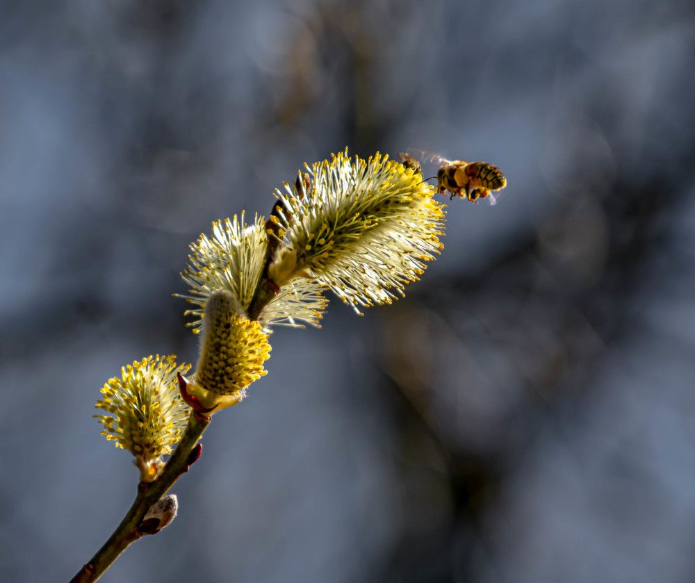 Photograph by Vitalii Kaznin
