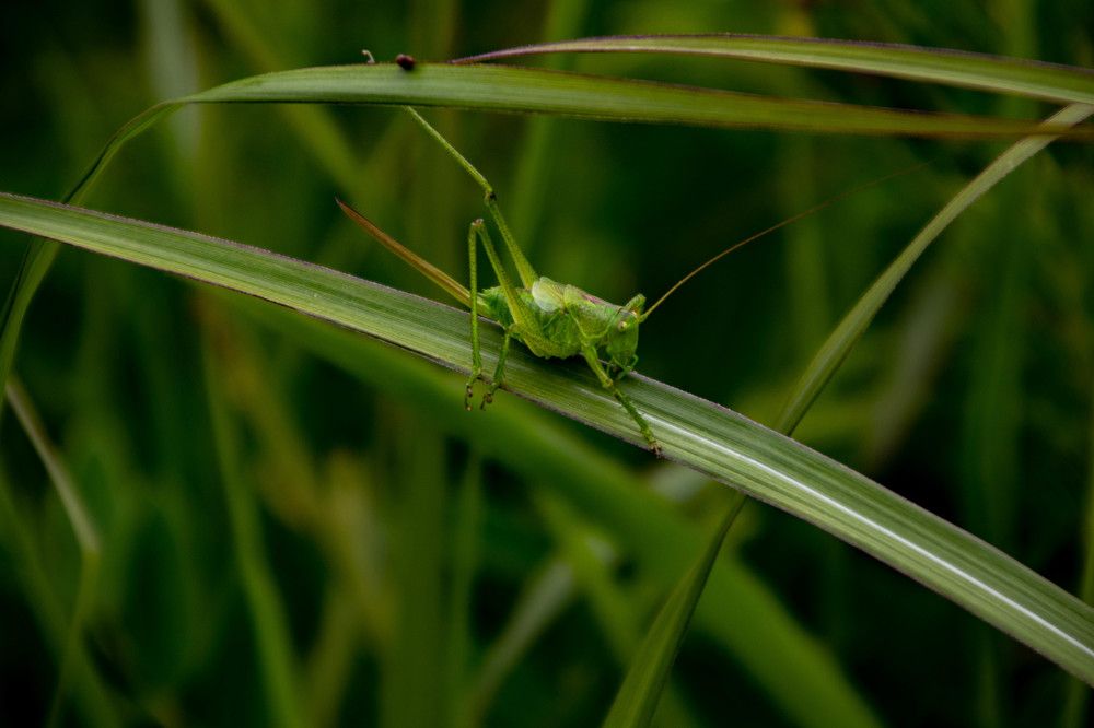 Photograph by Кирилл Романов