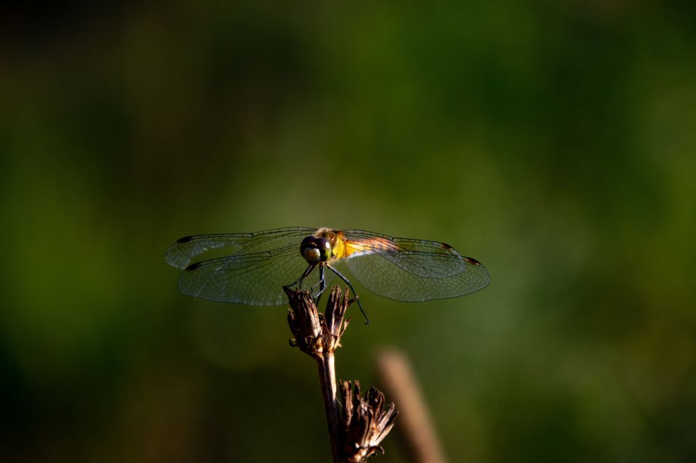 Photograph by Кирилл Романов