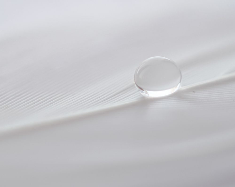 Photograph by Алеся Писнова