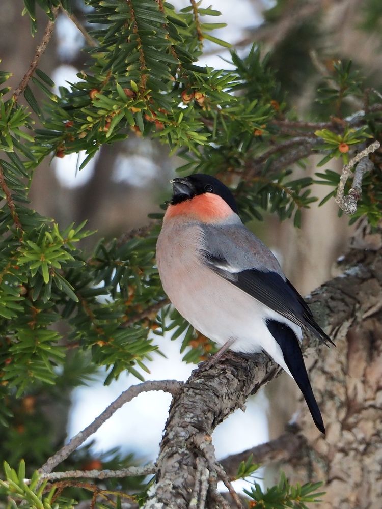 Photograph by Юлия Поршнева