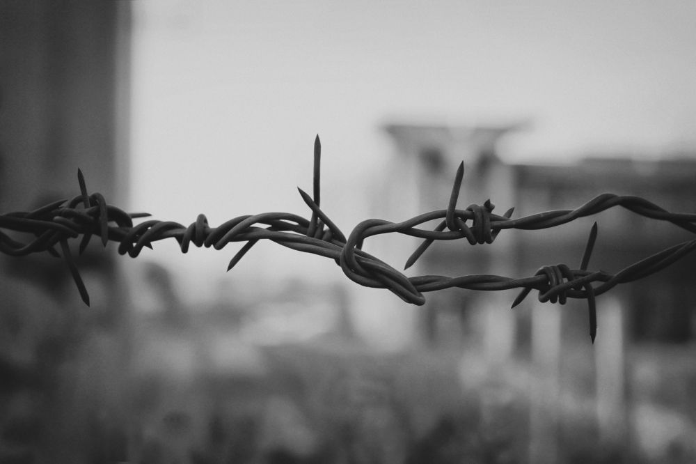 Photograph by Гагик Мхитарян