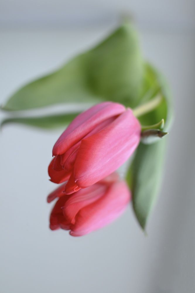 Photograph by Александра