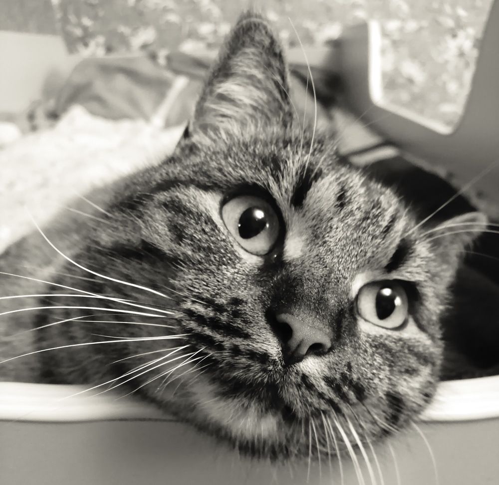 Фотография автора Григорий Червяков