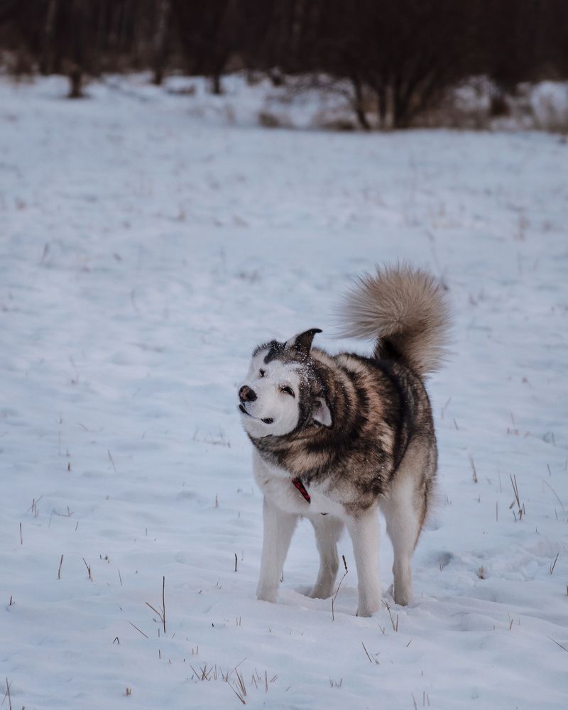 Photograph by Валерия Васина