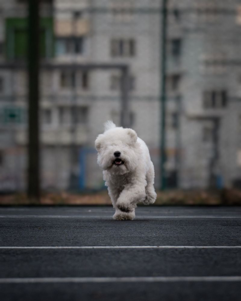 Photograph by Валерия Васина