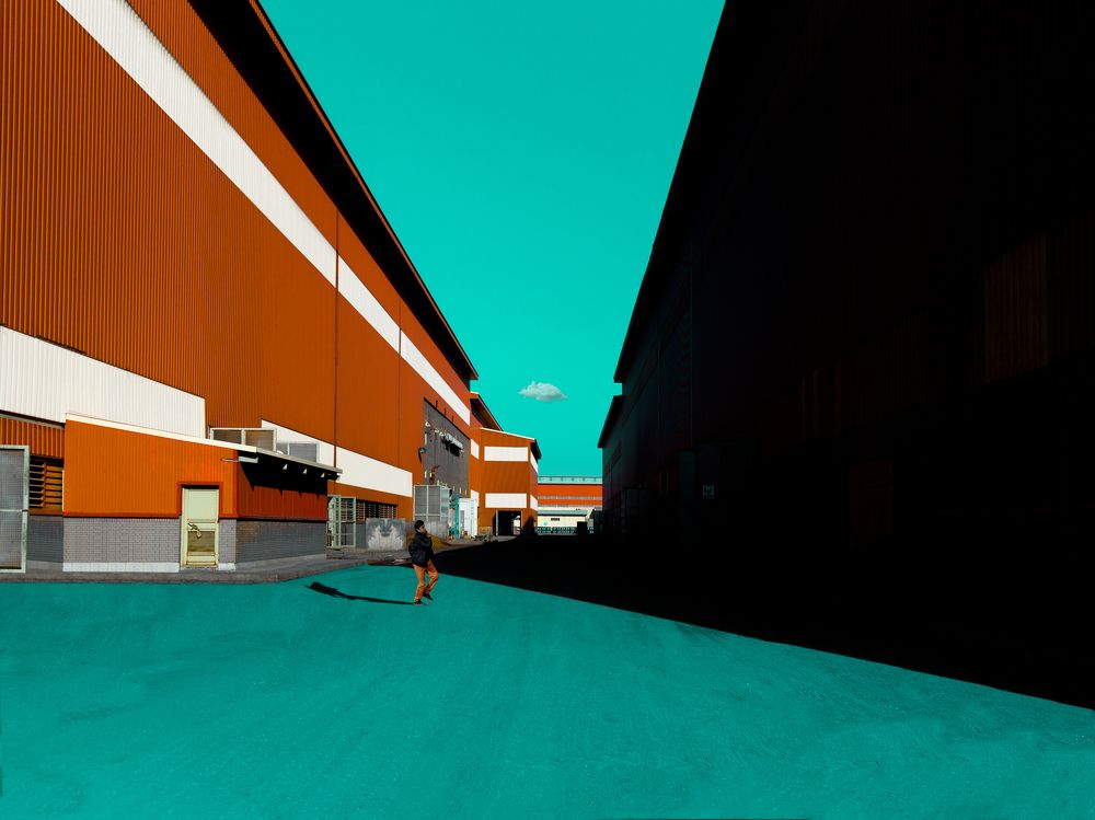 Photograph by reza lashgari