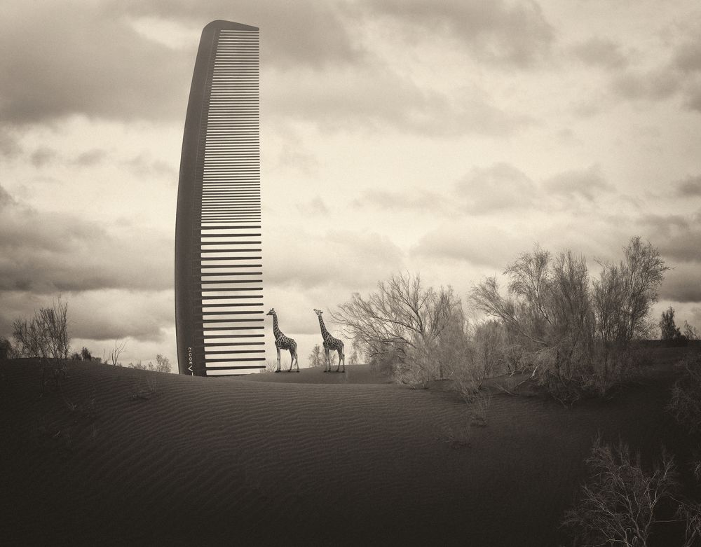 Photograph by reza lashgari