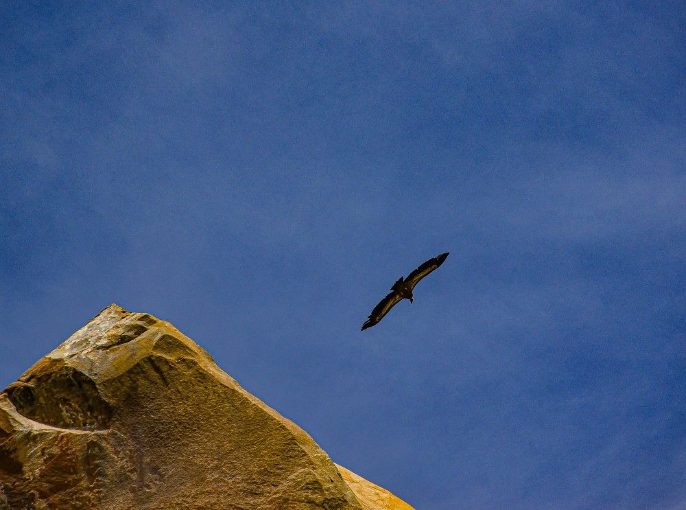 Photograph by Инна Гаджиева