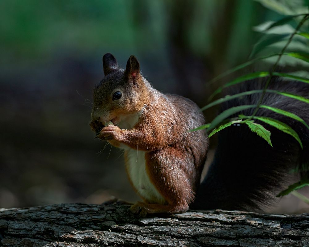 Photograph by Павел Яйков