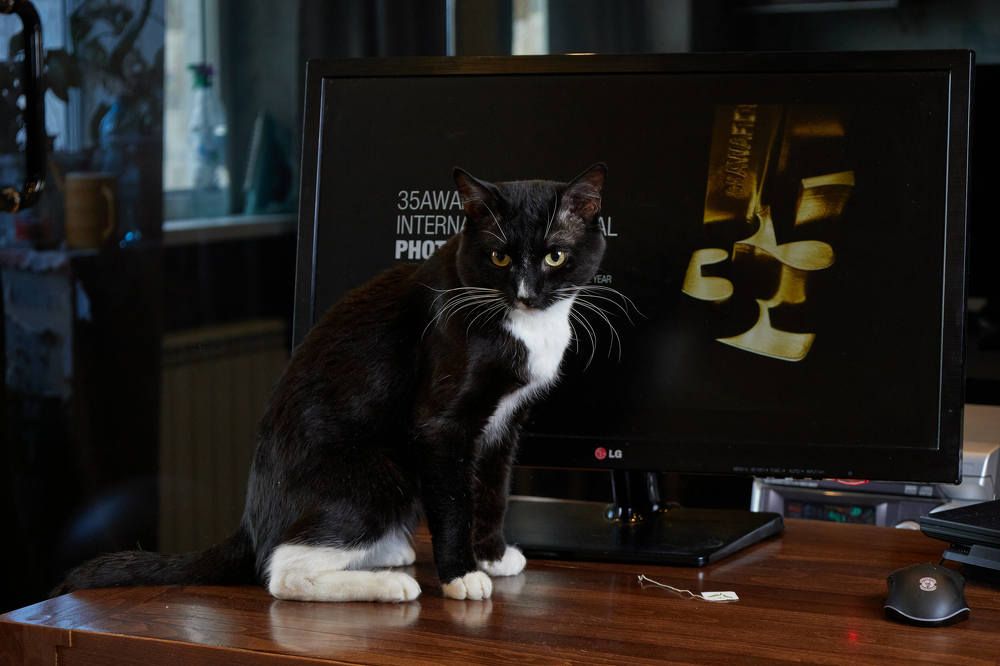 Photograph by Сергей Воеводин