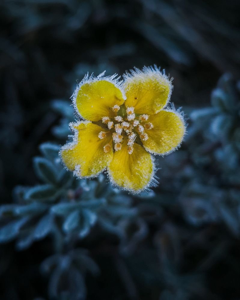 Photograph by Андрей Родионов