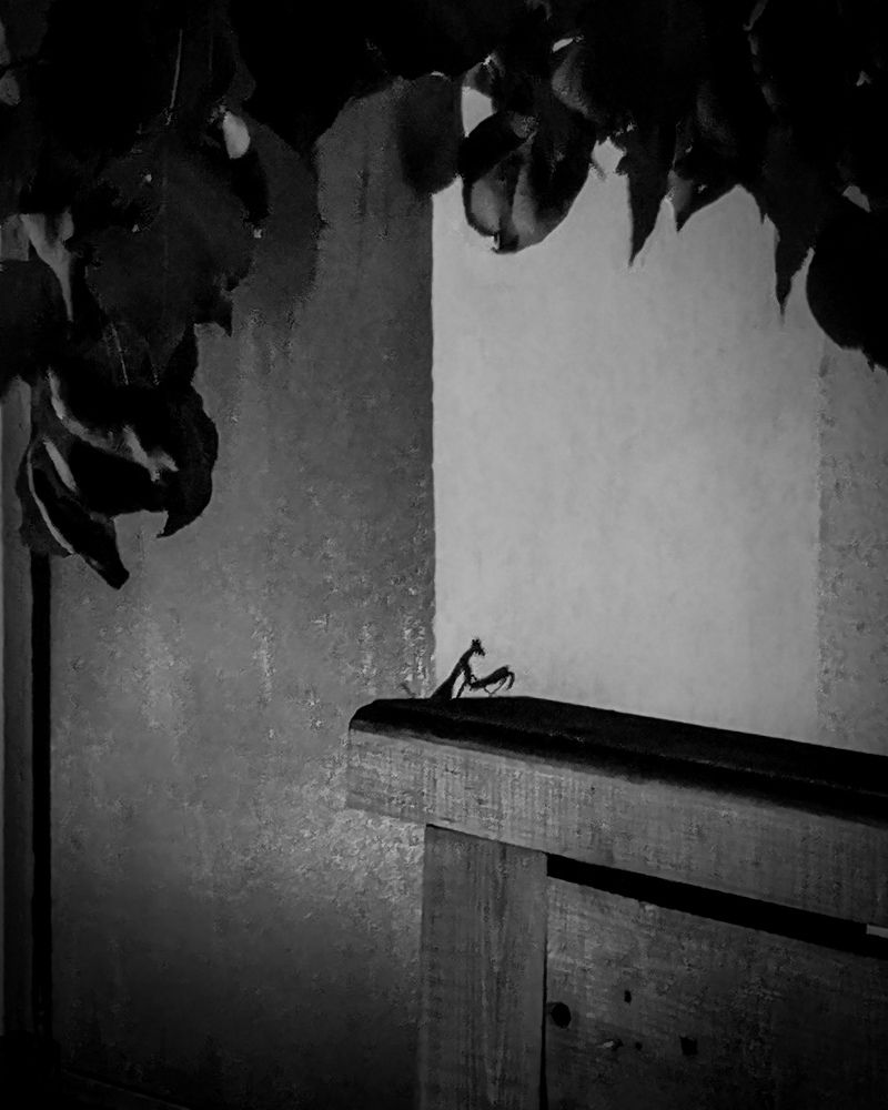 Photograph by Андрей Родионов