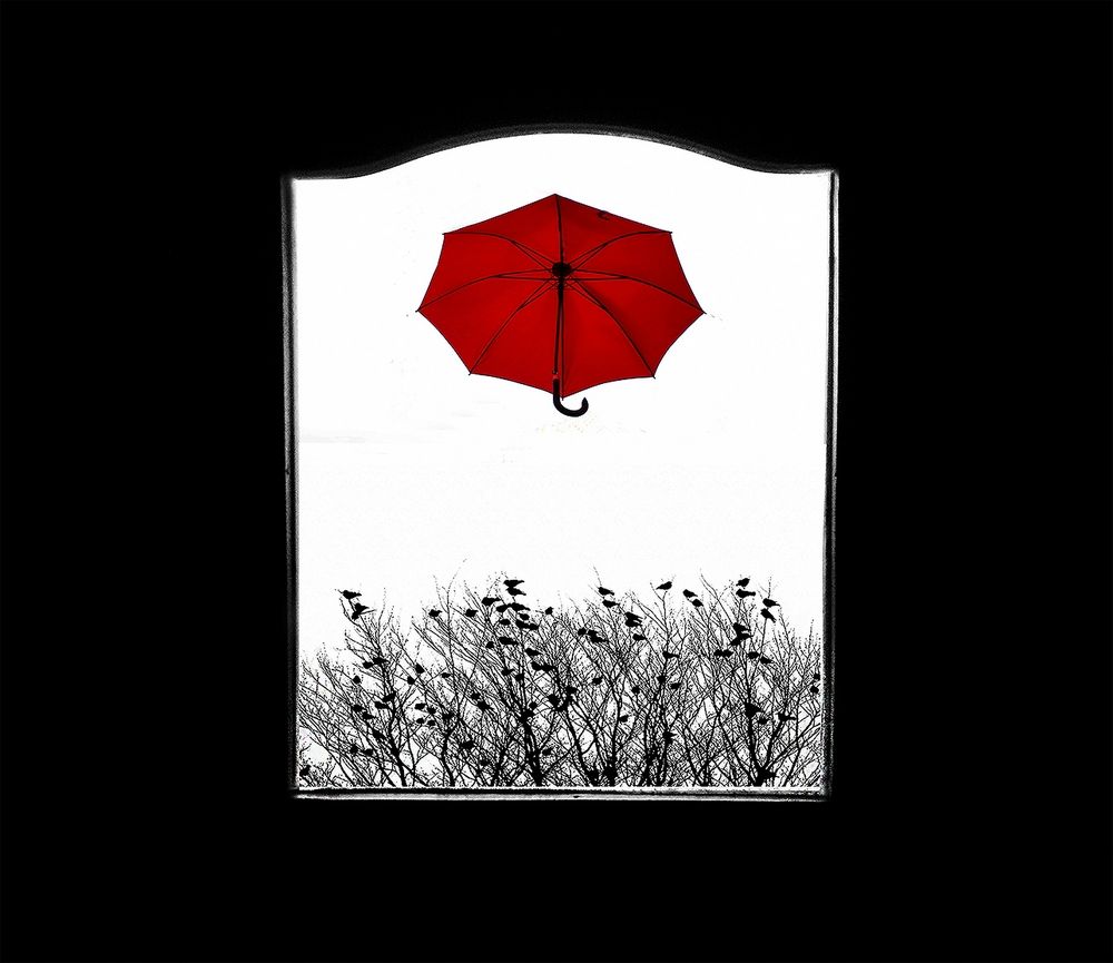 Photograph by Viviana García