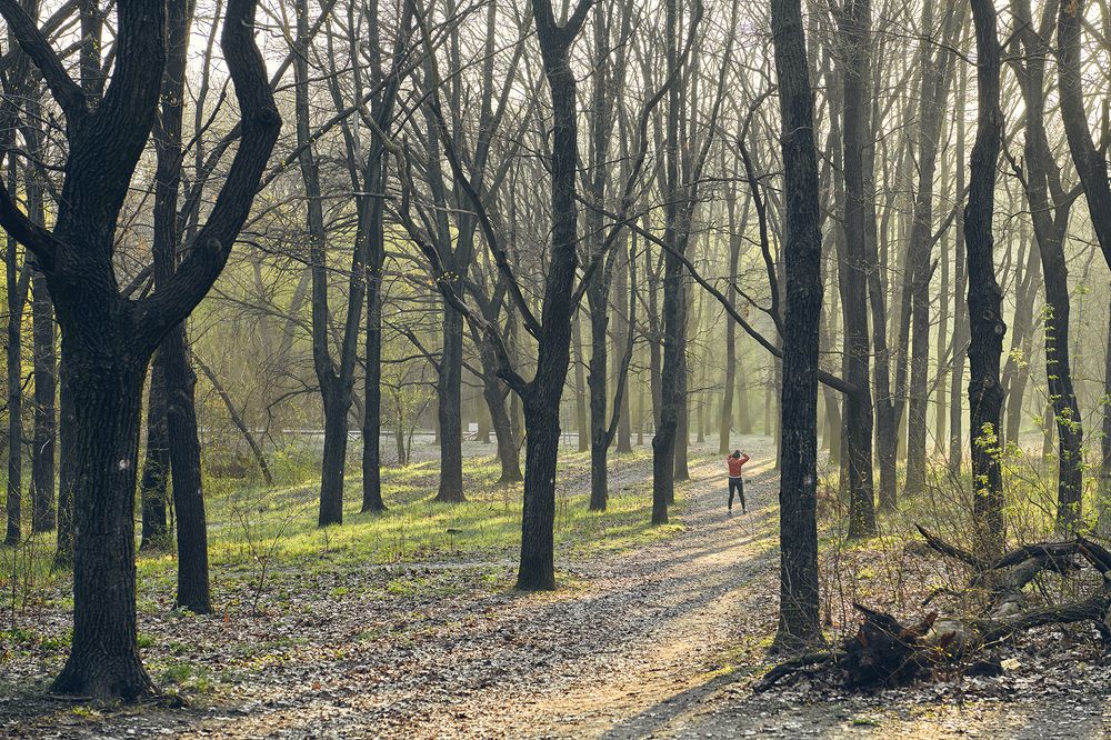 Фотография автора Бобинский Константин