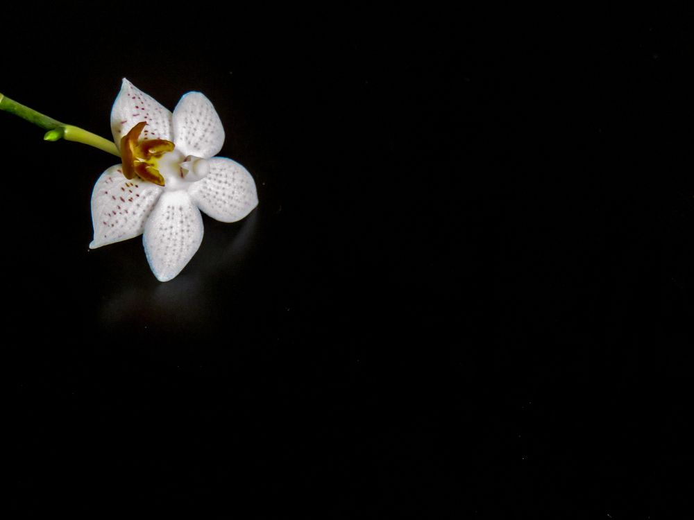 Фотография автора Novoseltsev Konstantin