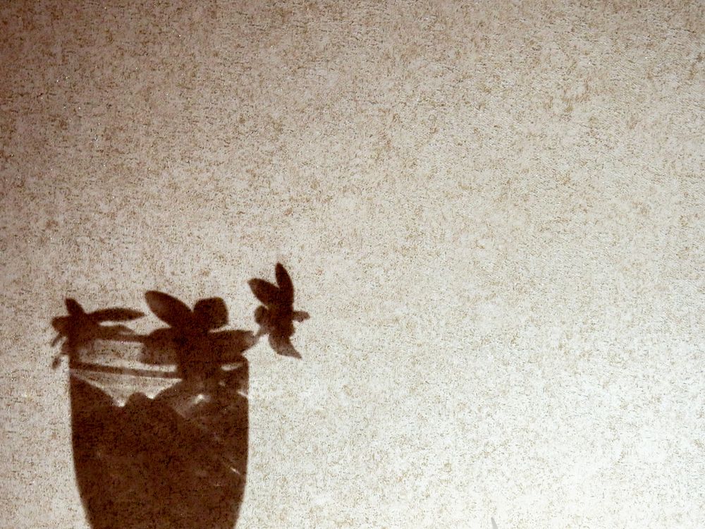 Фотография автора Novoseltsev Konstantin