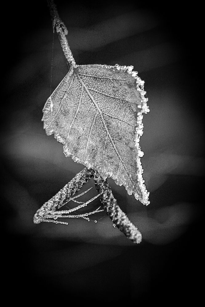 Засыпание природы