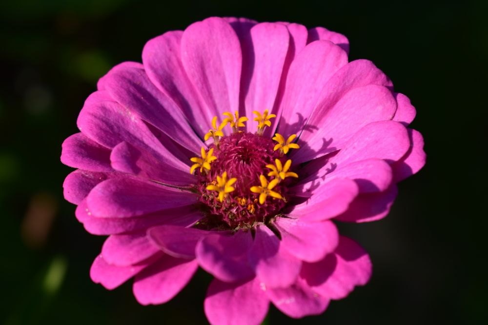 Photograph by Наталья Еременко