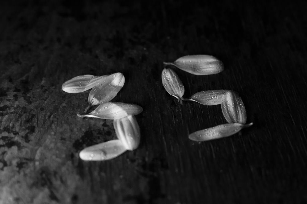 Photograph by Анна Фурса