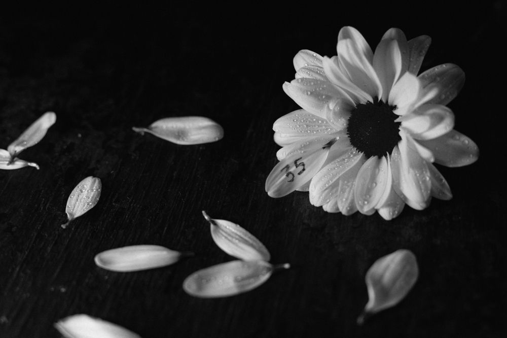 Photograph by Анна Фурса