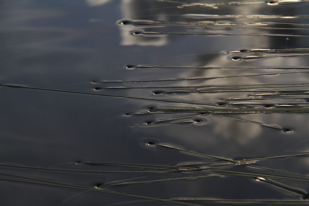 Photograph by 