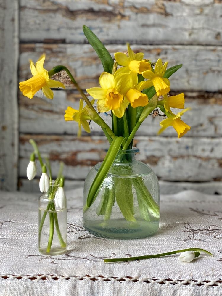 Весенний натюрморт