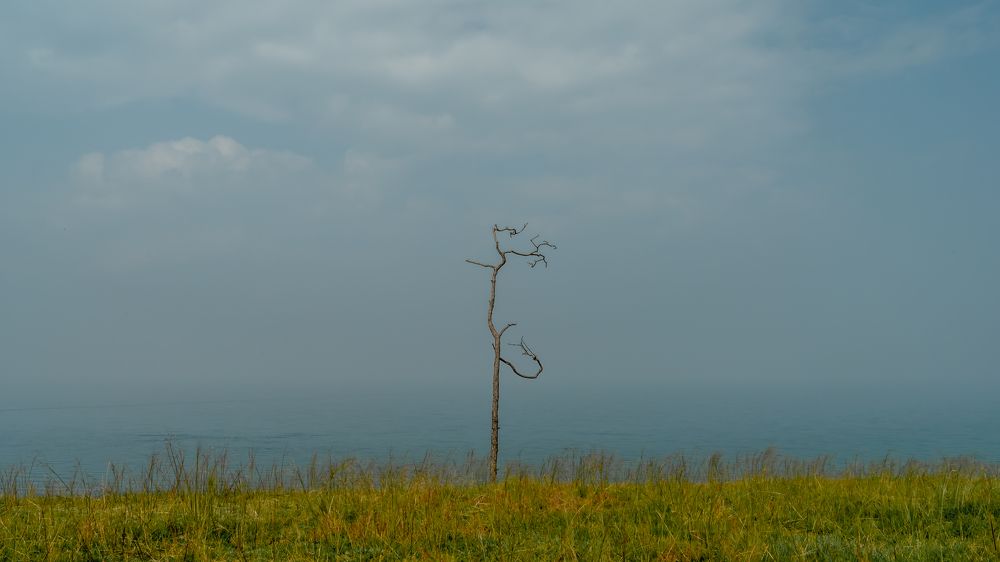 Фотография автора Андрей Васильев