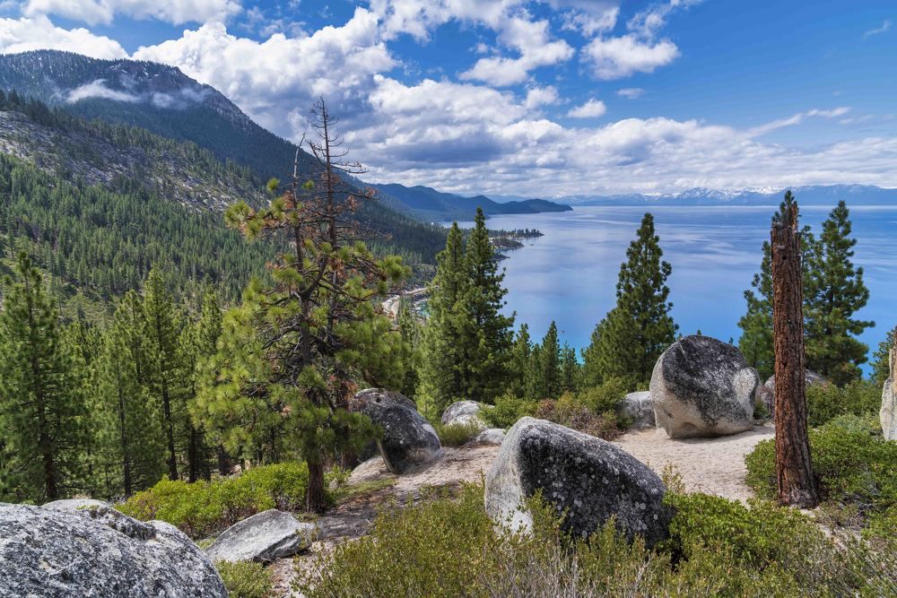 Photograph by Vladimir Moldovan